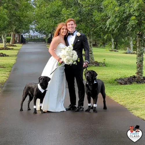 First Class Pet Wedding Assistants Gallery Images 11