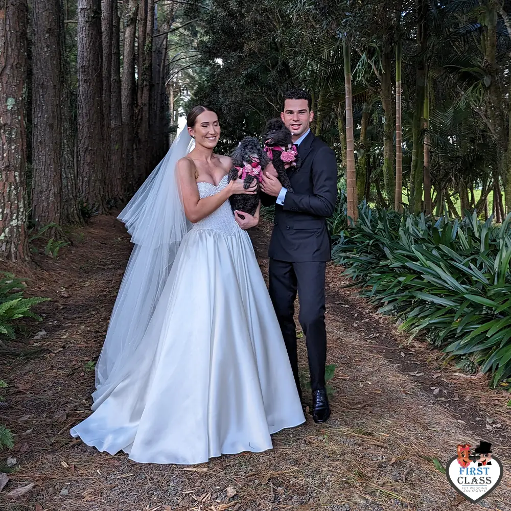 First Class Pet Wedding Assistants Gallery Images 12 First Class Pet Wedding Assistants Gallery Images 12