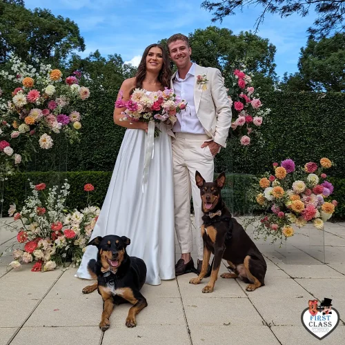 First Class Pet Wedding Assistants Gallery Images 17