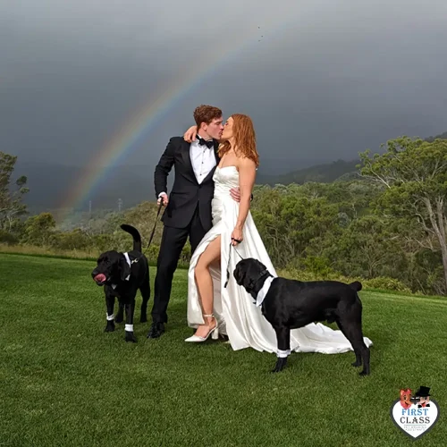 First Class Pet Wedding Assistants Gallery Images 3