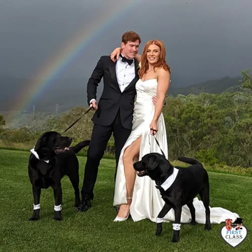 First Class Pet Wedding Assistants Gallery Images 4
