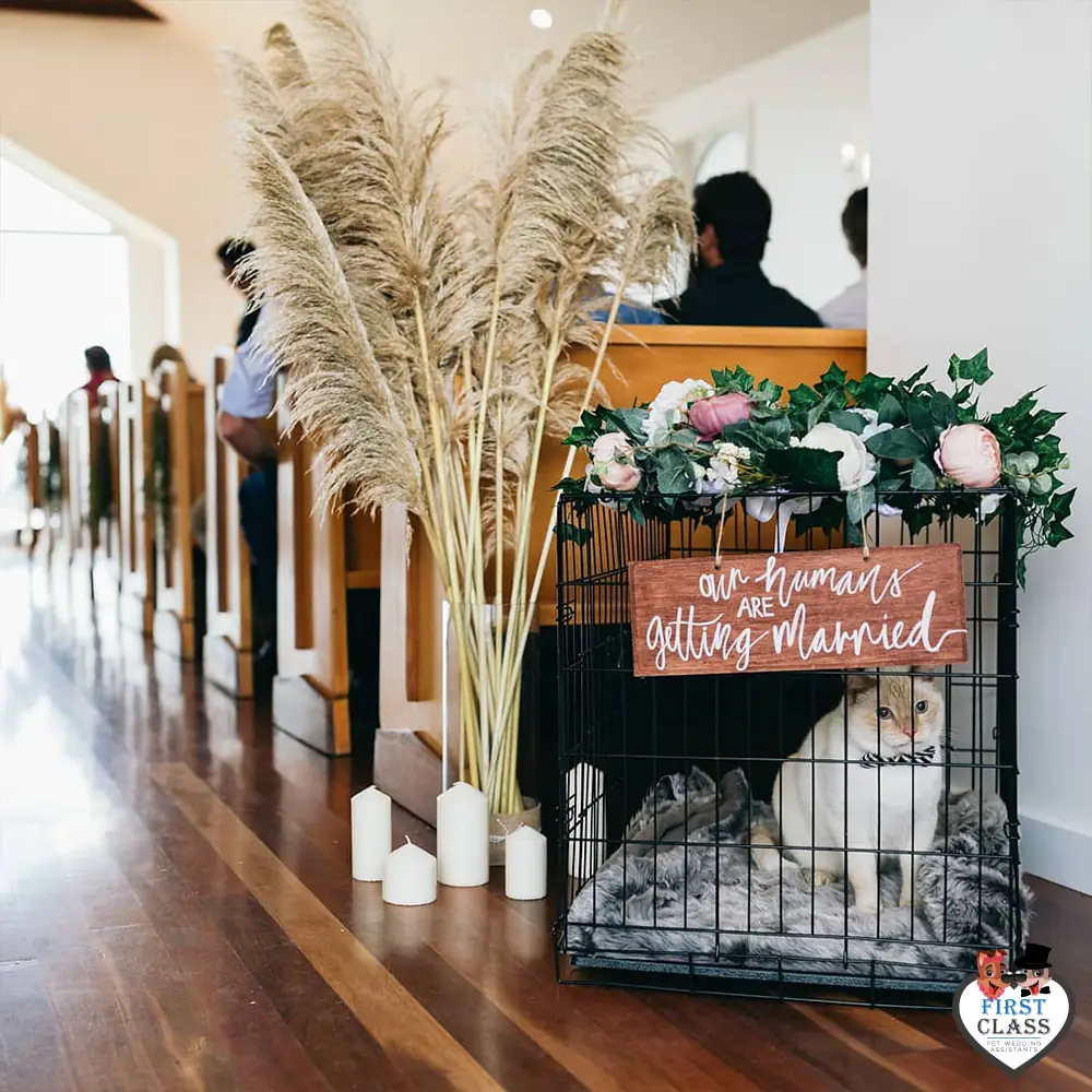 First Class Pet Wedding Assistants Gallery Images 7 First Class Pet Wedding Assistants Gallery Images 7