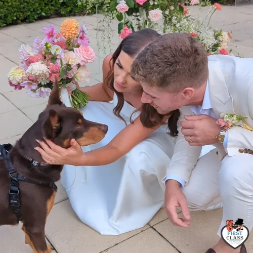 First Class Pet Wedding Assistants Gallery Images 8
